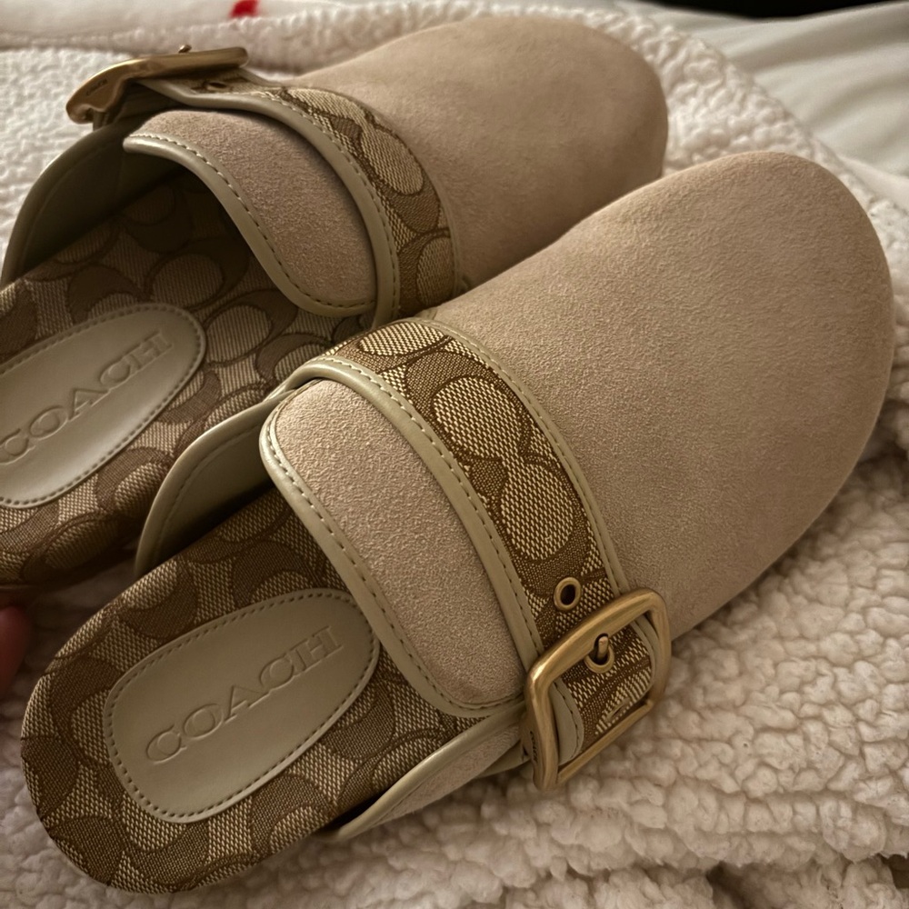 Coach Ashton Clogs - image 1